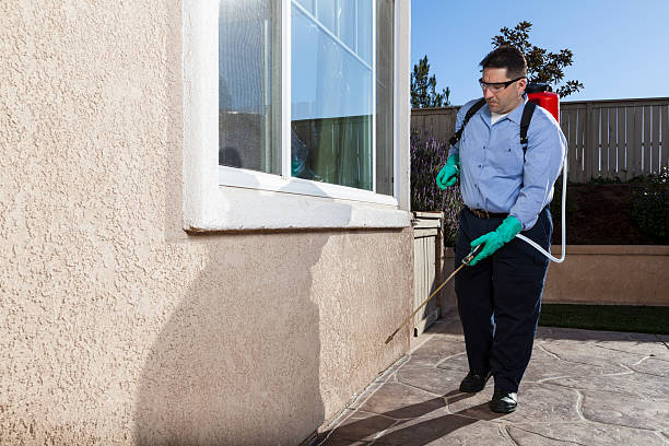 Professional Pest Control in Kewaskum, WI